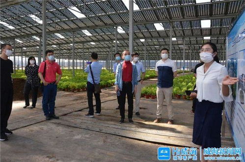 智慧大脑赋能产业升级 威海临港区以新材料技术开发服务引领振兴之路